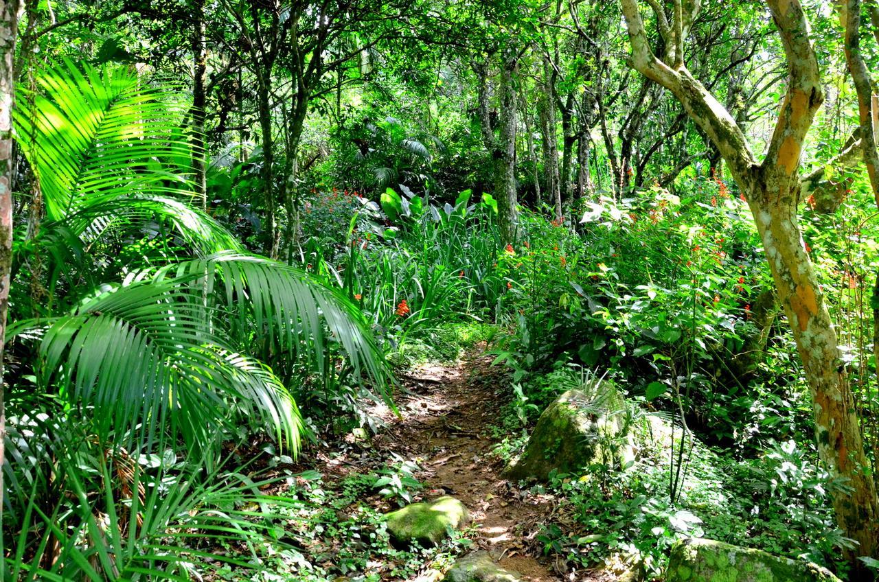 Pousada Sitio Dos Tucanos Florianópolis Eksteriør billede